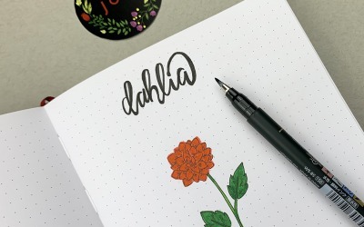 How You Can Make Perfect Dahlia Flowers in five steps