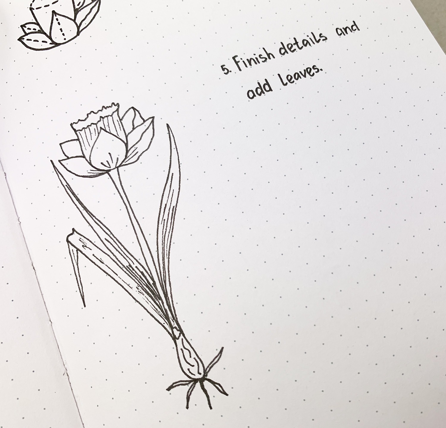 What everybody ought to know about easy Daffodil drawing in your bullet journal